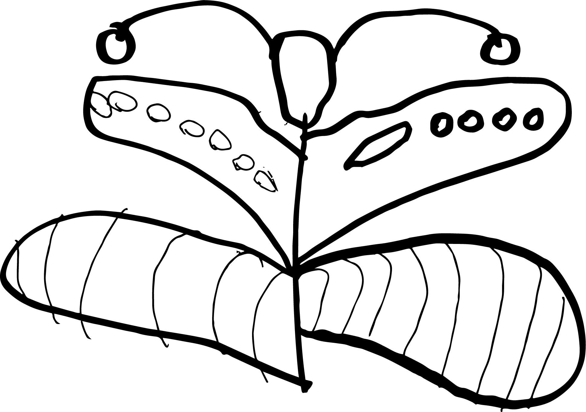 Batterfly, Liza